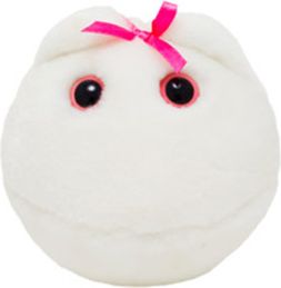 GIANT MICROBES-EGG CELL (HUMAN