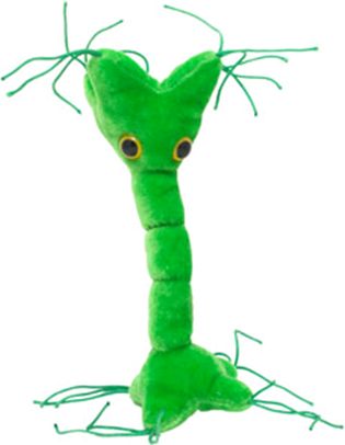 GIANT MICROBES-NERVE CELL